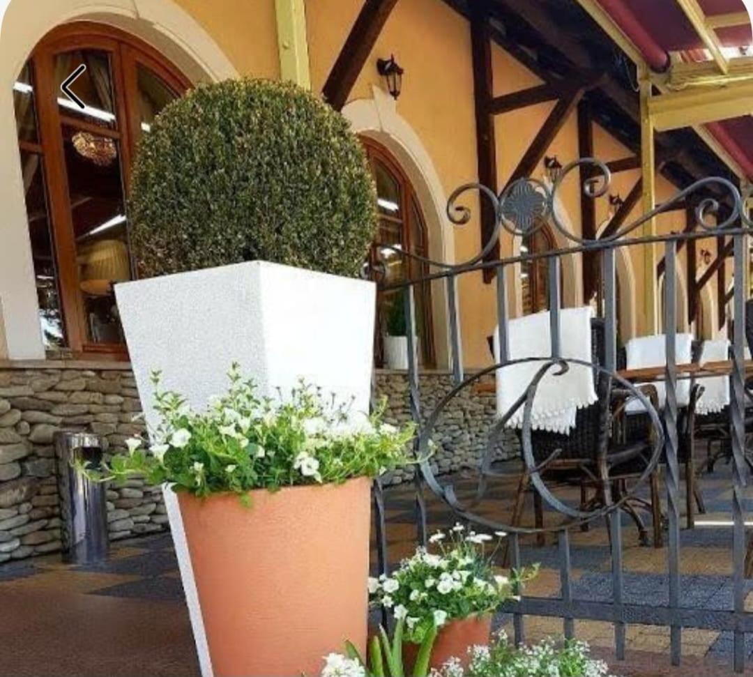 U Pietrzakow Hotel Zielonka  Exterior photo